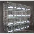 Cage à pigeon galvanisée pour vente chaude/cage animale de haute qualité en chine